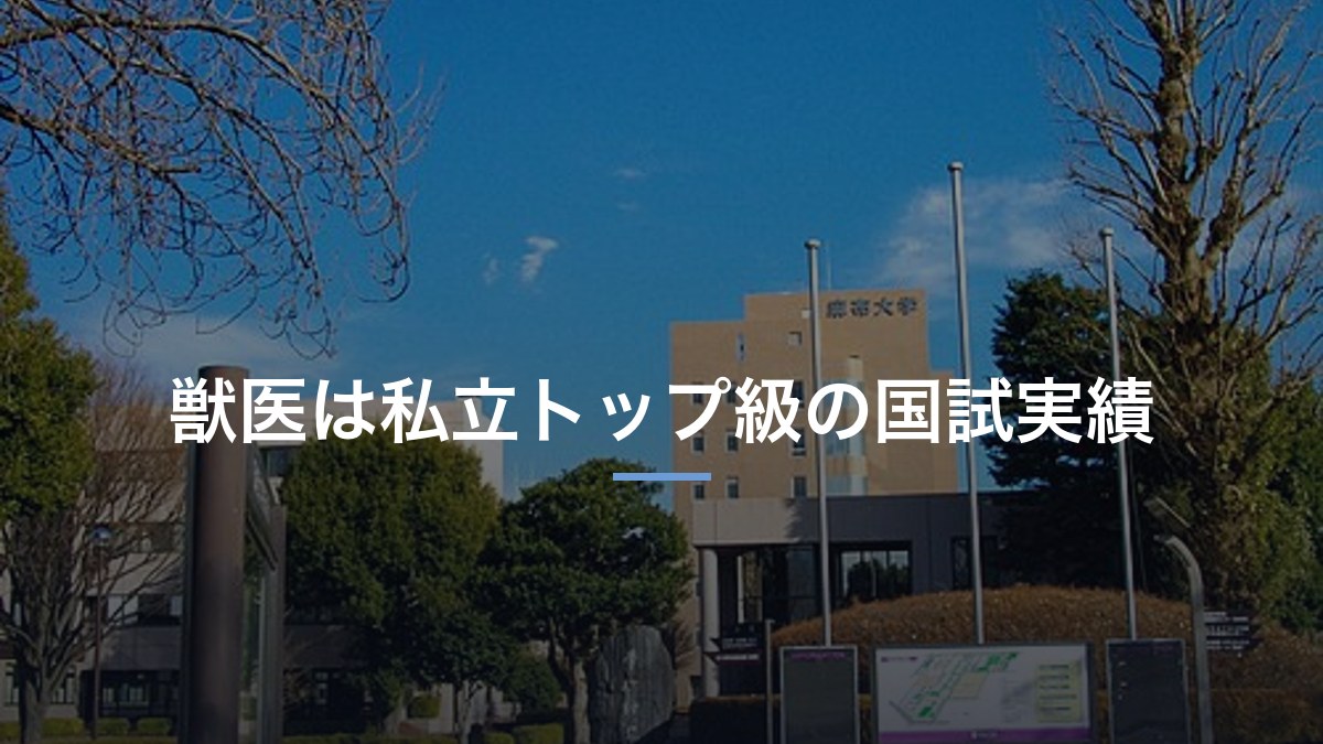 麻布大学は相模原にある獣医系の私立｜偏差値40の内側を学部で確かめる