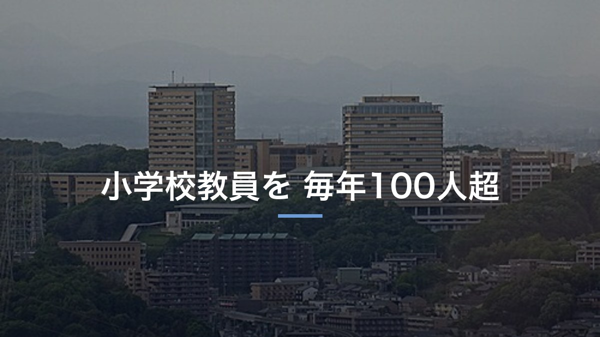 明星大学はやばいのか｜小学校教員を毎年百人以上送り出す大学の実像